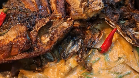 Bicol Bangus Express
