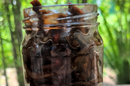 Bottle isaw Recipe